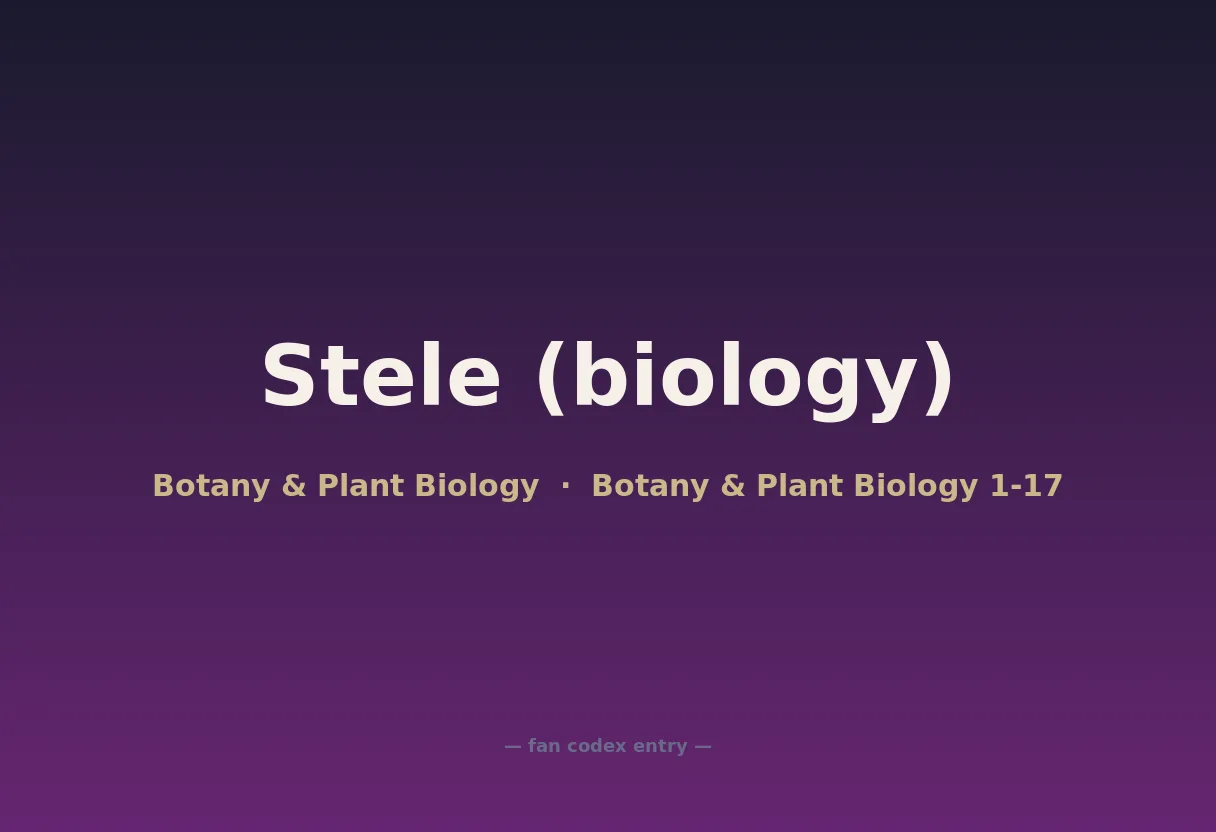 Stele (biology)