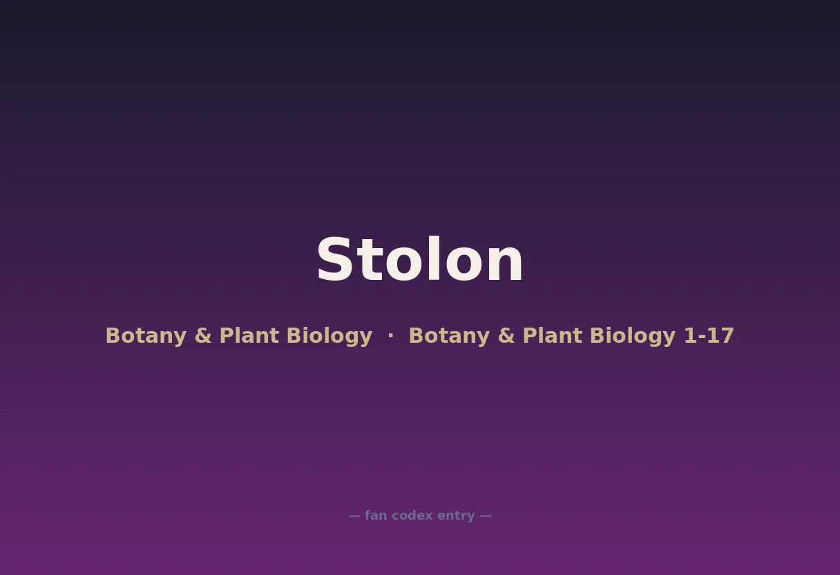 Stolon
